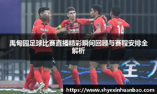 禹甸园足球比赛直播精彩瞬间回顾与赛程安排全解析