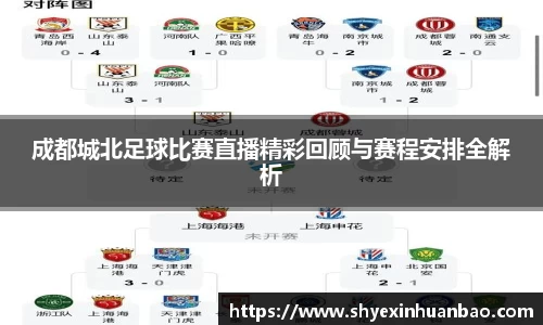 成都城北足球比赛直播精彩回顾与赛程安排全解析