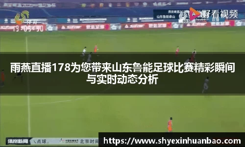 雨燕直播178为您带来山东鲁能足球比赛精彩瞬间与实时动态分析