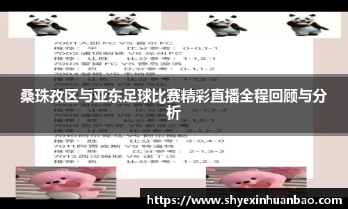 桑珠孜区与亚东足球比赛精彩直播全程回顾与分析