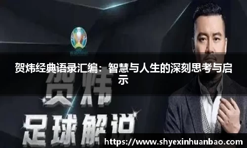 贺炜经典语录汇编：智慧与人生的深刻思考与启示