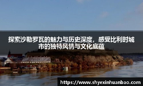 探索沙勒罗瓦的魅力与历史深度，感受比利时城市的独特风情与文化底蕴