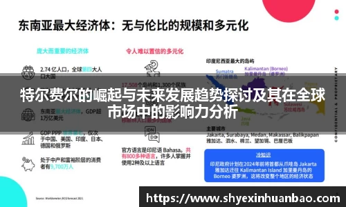 特尔费尔的崛起与未来发展趋势探讨及其在全球市场中的影响力分析